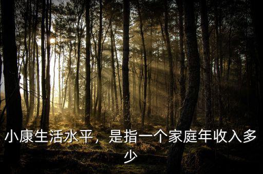 小康生活水平，是指一個家庭年收入多少
