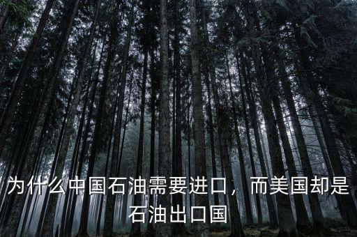 為什么中國石油需要進(jìn)口，而美國卻是石油出口國