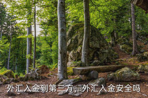 外匯入金到第三方，外匯入金安全嗎