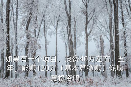 如果有一個項目，投資40萬左右，五年，能賺120萬（基本算穩(wěn)賺）你愿意投資嗎
