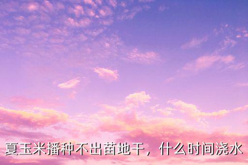 夏玉米播種不出苗地干，什么時間澆水