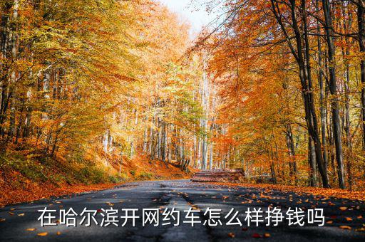 哈爾濱專車收益怎么樣,滴滴專車收入怎么樣2019