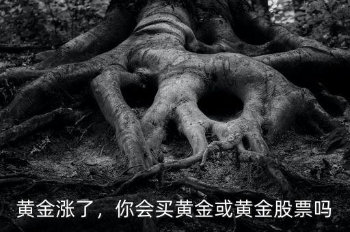 黃金漲了，你會(huì)買黃金或黃金股票嗎