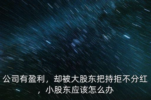 公司有盈利，卻被大股東把持拒不分紅，小股東應(yīng)該怎么辦