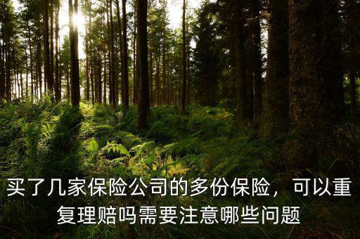 買了幾家保險公司的多份保險，可以重復(fù)理賠嗎需要注意哪些問題