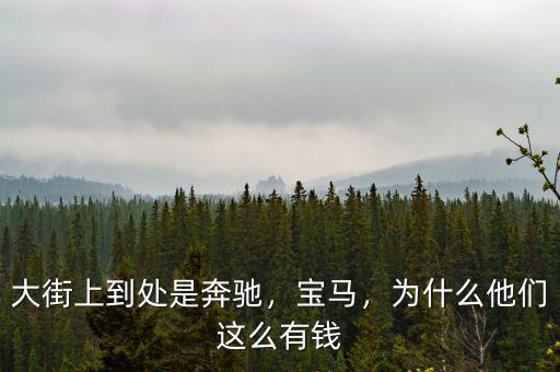 大街上到處是奔馳，寶馬，為什么他們這么有錢