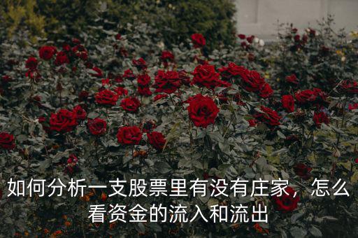 如何分析一支股票里有沒有莊家，怎么看資金的流入和流出