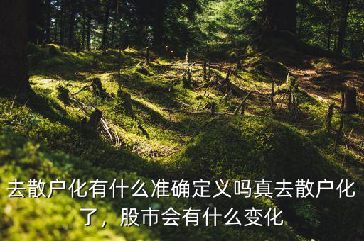 去散戶化有什么準(zhǔn)確定義嗎真去散戶化了，股市會(huì)有什么變化