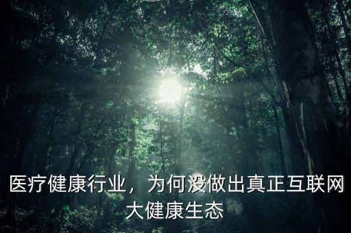 醫(yī)療健康行業(yè)，為何沒做出真正互聯(lián)網(wǎng)大健康生態(tài)
