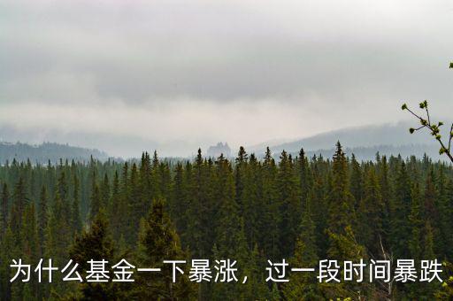 為什么基金一下暴漲，過(guò)一段時(shí)間暴跌