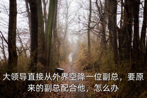 大領(lǐng)導(dǎo)直接從外界空降一位副總，要原來的副總配合他，怎么辦