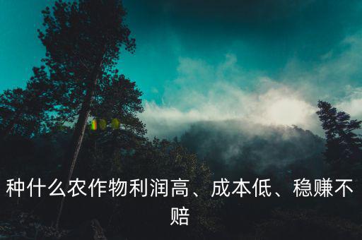 種什么農(nóng)作物利潤高、成本低、穩(wěn)賺不賠