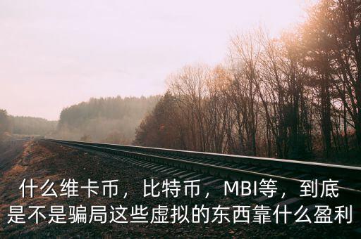 什么維卡幣，比特幣，MBI等，到底是不是騙局這些虛擬的東西靠什么盈利