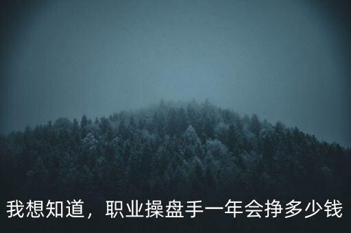 我想知道，職業(yè)操盤手一年會掙多少錢