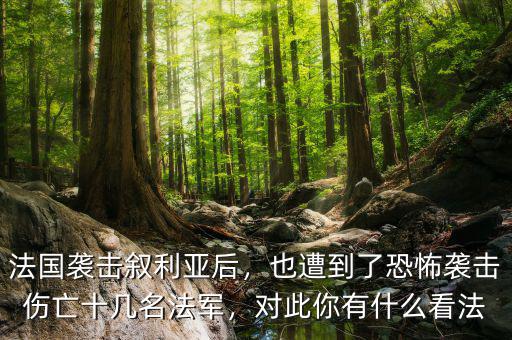 法國襲擊敘利亞后，也遭到了恐怖襲擊傷亡十幾名法軍，對此你有什么看法