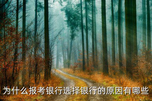 為什么選擇銀行業(yè),為什么報(bào)考銀行