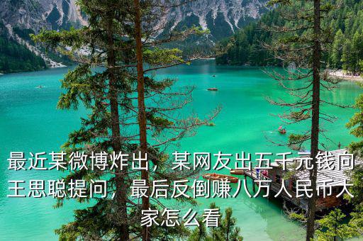 最近某微博炸出，某網(wǎng)友出五千元錢向王思聰提問，最后反倒賺八萬人民幣大家怎么看