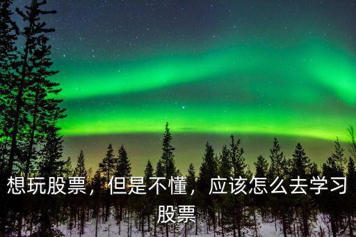 想玩股票，但是不懂，應該怎么去學習股票
