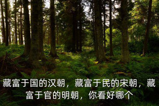 藏富于國的漢朝，藏富于民的宋朝，藏富于官的明朝，你看好哪個