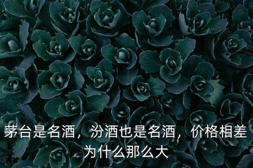汾酒為什么貴,價(jià)格相差為什么那么大