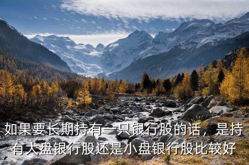 如果要長期持有一只銀行股的話，是持有大盤銀行股還是小盤銀行股比較好