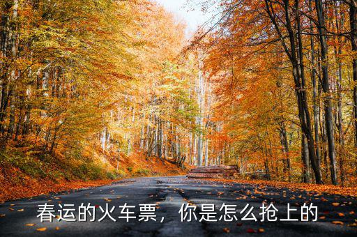 春運(yùn)的火車票，你是怎么搶上的