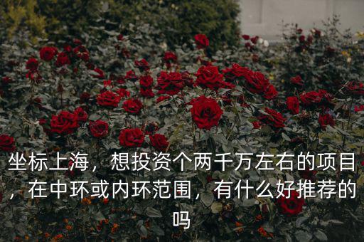 坐標(biāo)上海，想投資個(gè)兩千萬左右的項(xiàng)目，在中環(huán)或內(nèi)環(huán)范圍，有什么好推薦的嗎