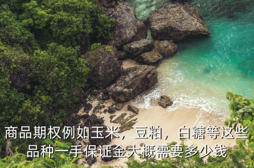 一手期權多少錢,商品期權例如玉米