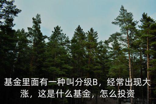 基金里面有一種叫分級(jí)B，經(jīng)常出現(xiàn)大漲，這是什么基金，怎么投資