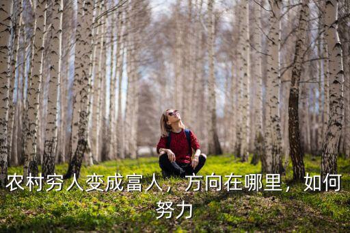 農(nóng)村窮人變成富人，方向在哪里，如何努力