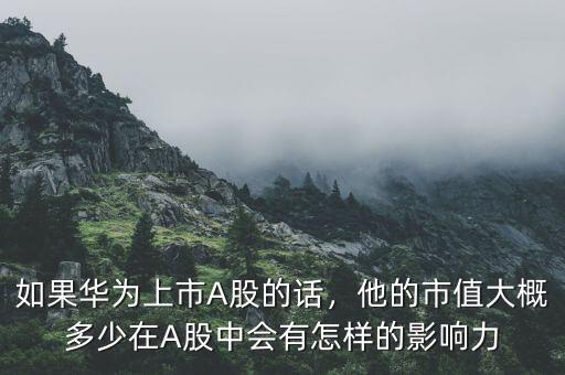如果華為上市A股的話，他的市值大概多少在A股中會(huì)有怎樣的影響力