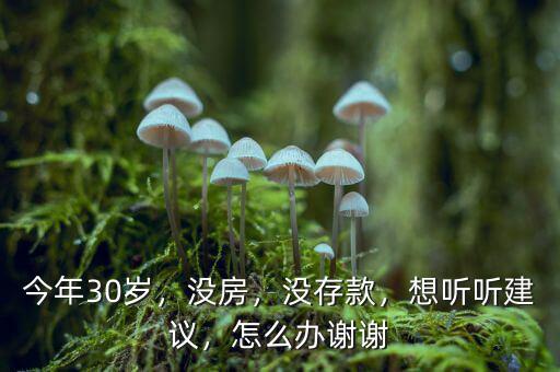 今年30歲，沒(méi)房，沒(méi)存款，想聽(tīng)聽(tīng)建議，怎么辦謝謝
