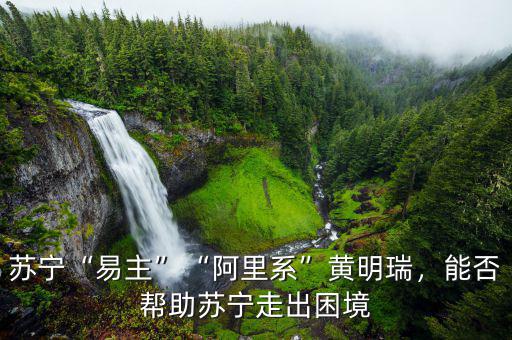 蘇寧困境是什么,他能帶領(lǐng)蘇寧走出困境嗎