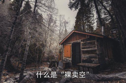 什么是“裸賣(mài)空”