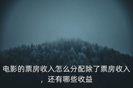 電影的票房收入怎么分配除了票房收入，還有哪些收益