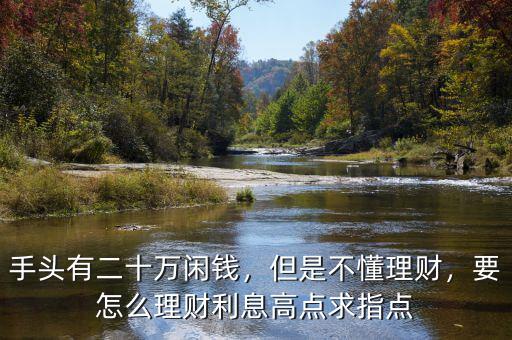 手頭有二十萬(wàn)閑錢(qián)，但是不懂理財(cái)，要怎么理財(cái)利息高點(diǎn)求指點(diǎn)