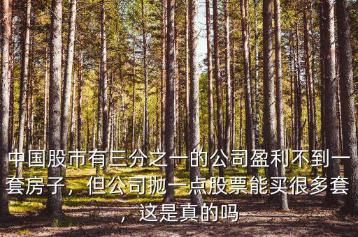中國(guó)股市有三分之一的公司盈利不到一套房子，但公司拋一點(diǎn)股票能買很多套，這是真的嗎