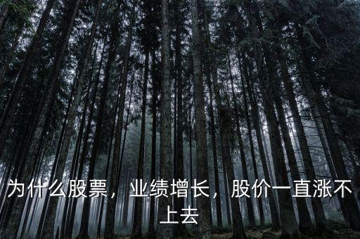 為什么股票，業(yè)績增長，股價一直漲不上去