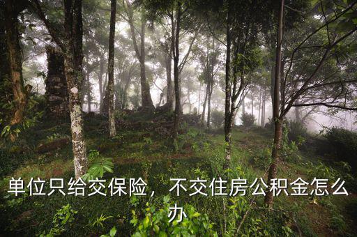 單位只給交保險(xiǎn)，不交住房公積金怎么辦