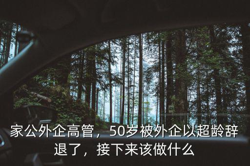 家公外企高管，50歲被外企以超齡辭退了，接下來該做什么