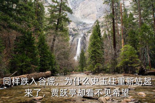同樣跌入谷底，為什么史玉柱重新站起來了，賈躍亭卻看不見希望