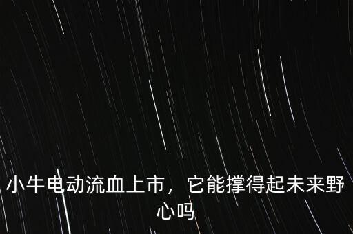 小牛電動流血上市，它能撐得起未來野心嗎