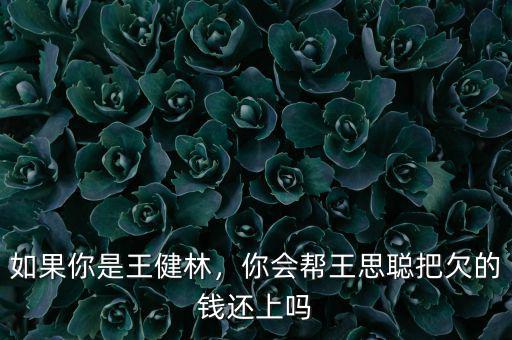 如果你是王健林，你會幫王思聰把欠的錢還上嗎