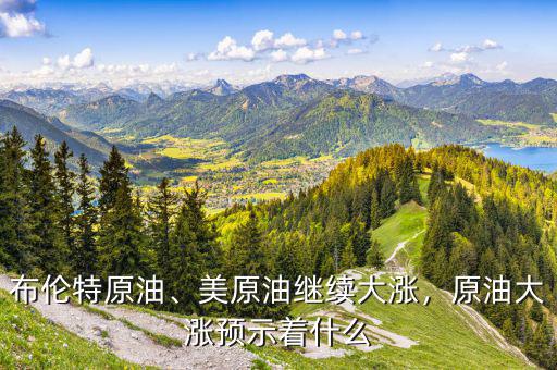 布倫特原油、美原油繼續(xù)大漲，原油大漲預(yù)示著什么
