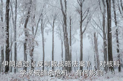 伊朗通過《反制裁戰(zhàn)略法案》，對(duì)核科學(xué)家被暗殺危機(jī)，有何影響