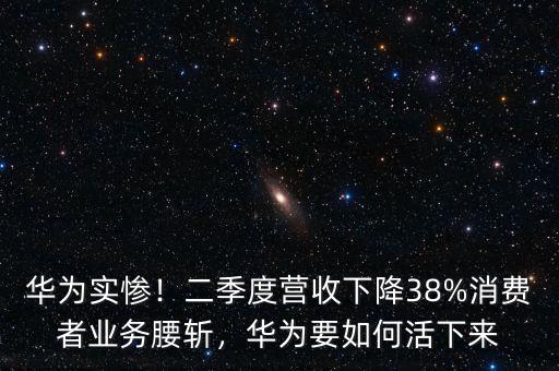 華為實(shí)慘！二季度營(yíng)收下降38%消費(fèi)者業(yè)務(wù)腰斬，華為要如何活下來(lái)
