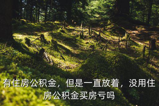 有住房公積金，但是一直放著，沒用住房公積金買房虧嗎
