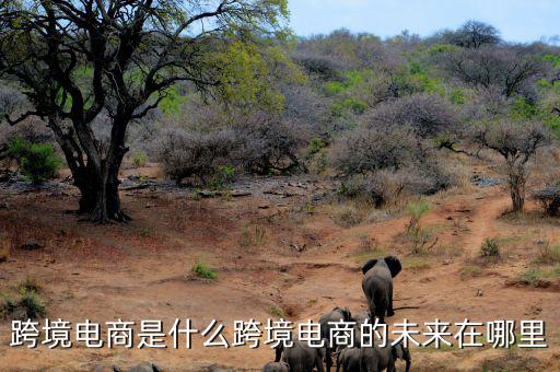 為什么俄羅斯女性會經(jīng)常在跨境電商上消費(fèi),為什么到處都在宣傳跨境電商