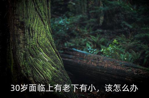 30歲面臨上有老下有小，該怎么辦