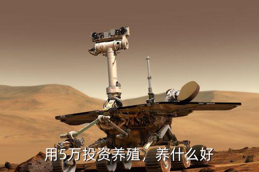 用5萬投資養(yǎng)殖，養(yǎng)什么好
